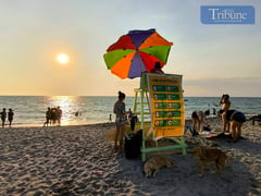 Aurora records 17 Holy Week incidents, multiple injuries