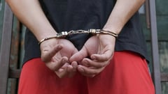 Model faces criminal charges for attempted sexual assault on 'It's Showtime' artist