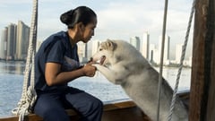 Phl trains pet dogs for search and rescue
