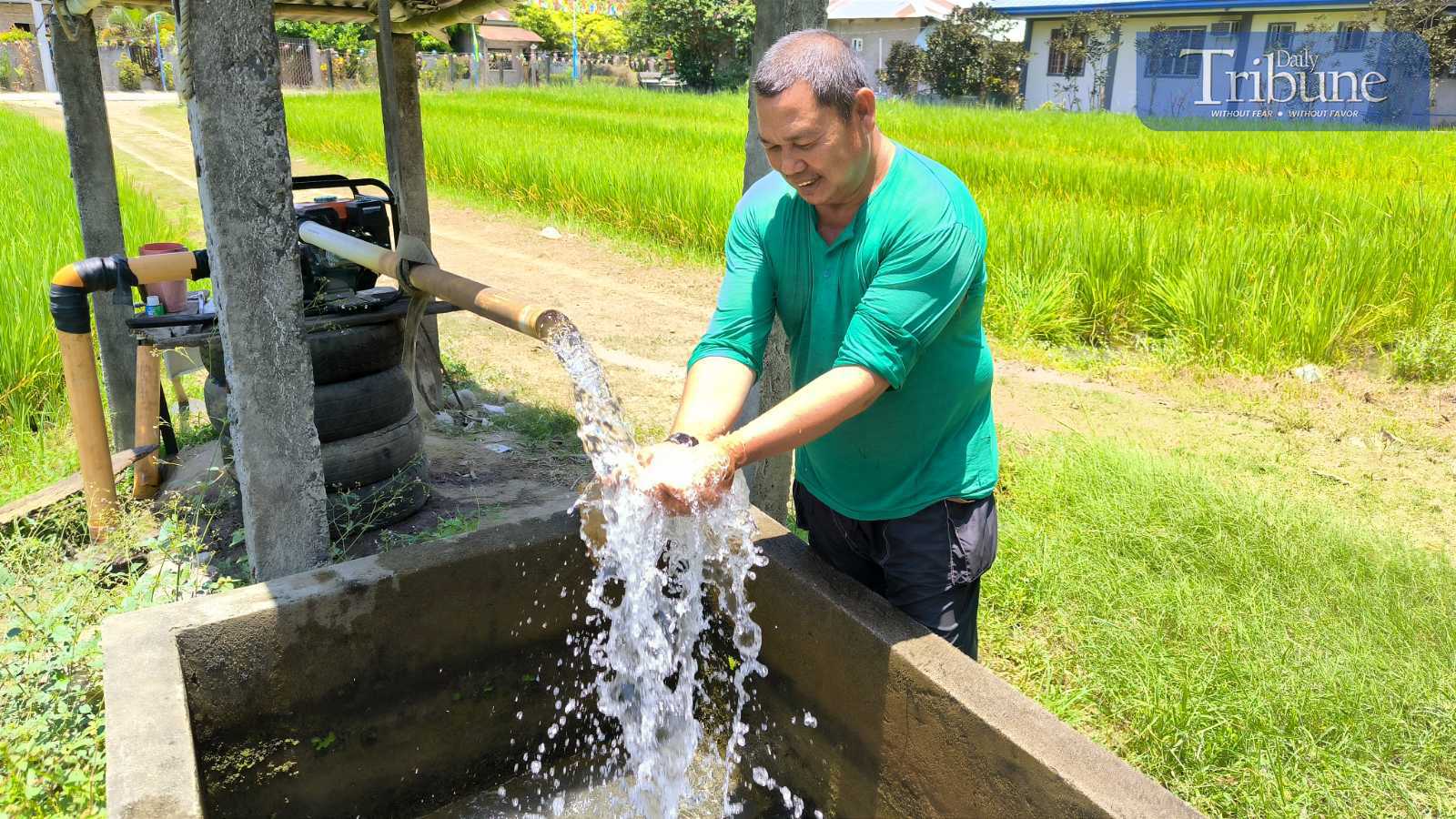 Tribune-wateressential.jpg