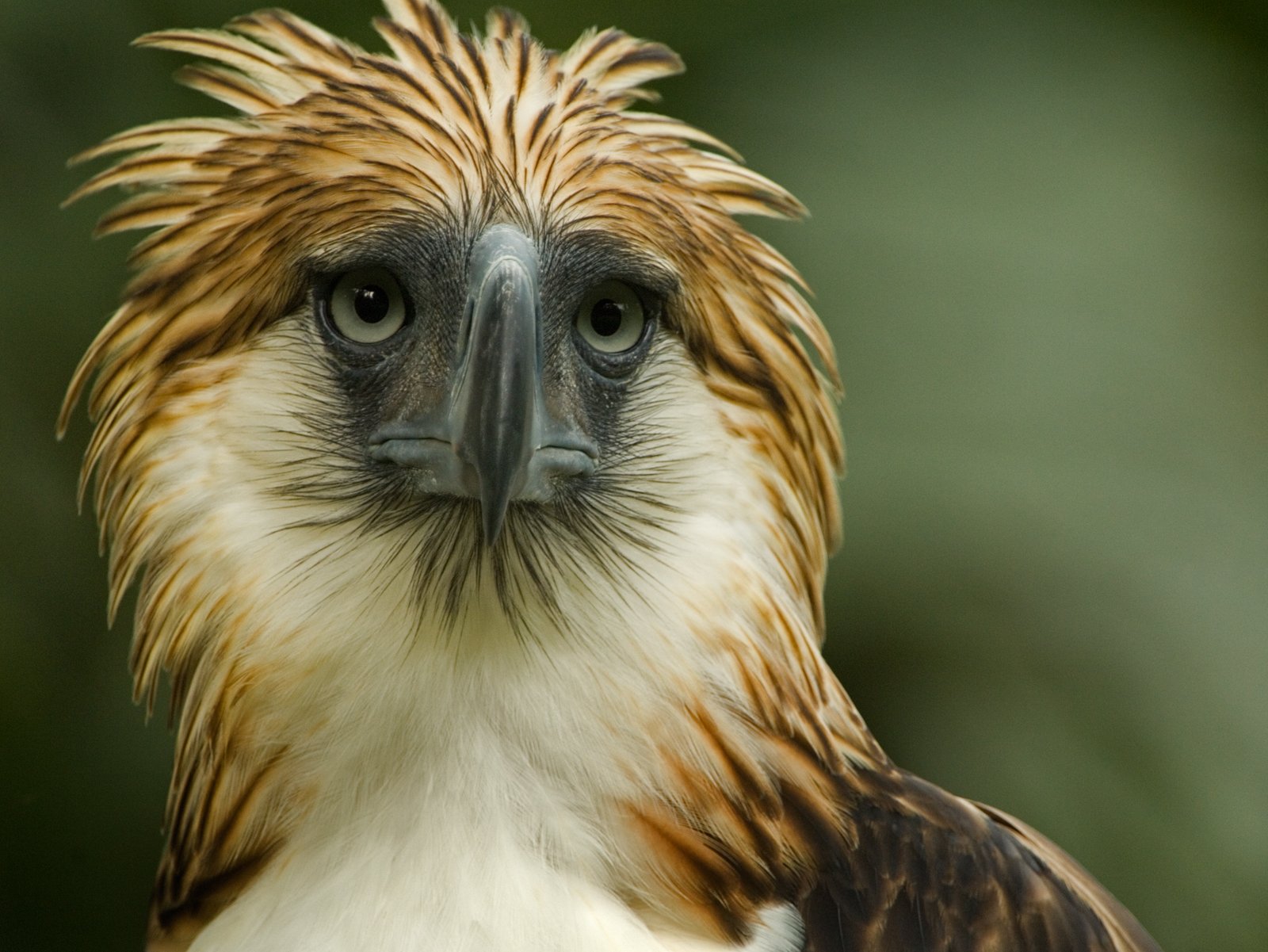 Act for nature and people, today and every day