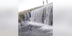 Tago Falls closed due to fecal coliform