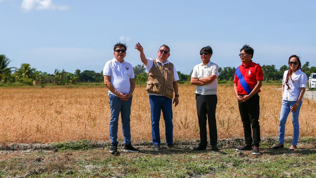 Irrigation plans to ease El Niño effects bared