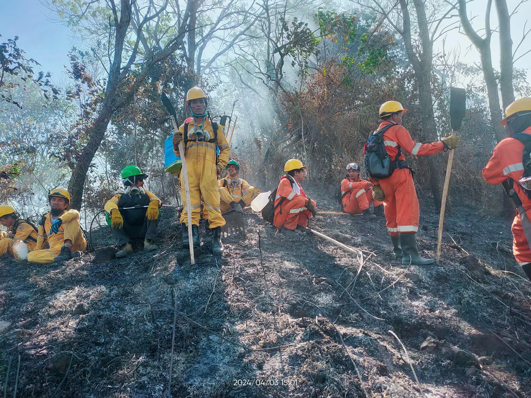 Fire destroys Malaybalay forestland 