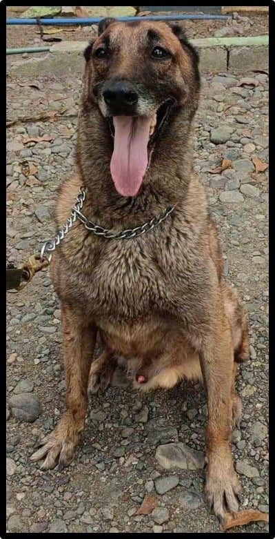 THANK YOU FOR YOUR SERVICE, SAR!