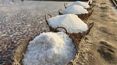 DENR to designate public lands, municipal waters for salt industry dev't