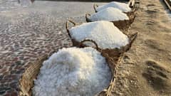 DENR to designate public lands, municipal waters for salt industry dev't