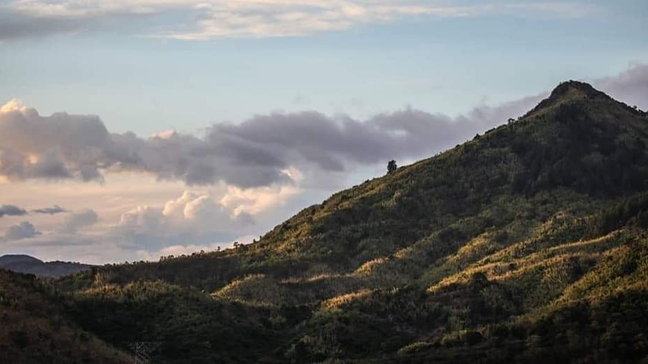 Construction firm bills gov't P1.2-B over questionable contracts on state-owned lands