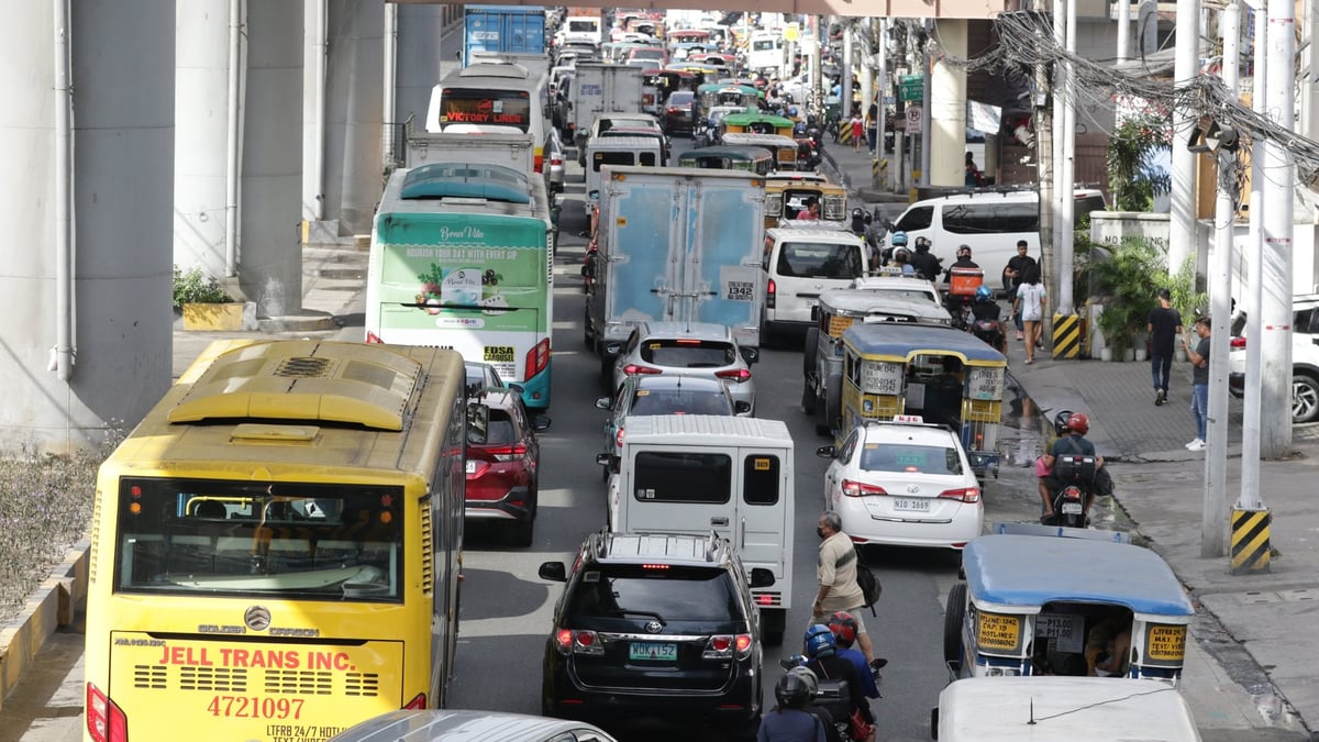 Gov't should limit protocol plates issuance to high-ranking officials — solon