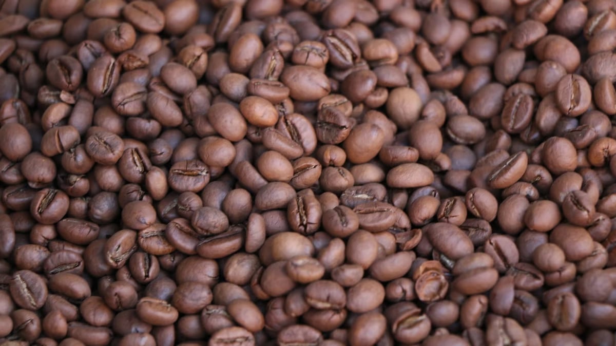 Sagada loses P16-million worth of coffee 