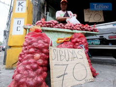 Onion farmer from Nueva Ecija