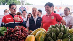 Kadiwa Stores' institutionalization sought