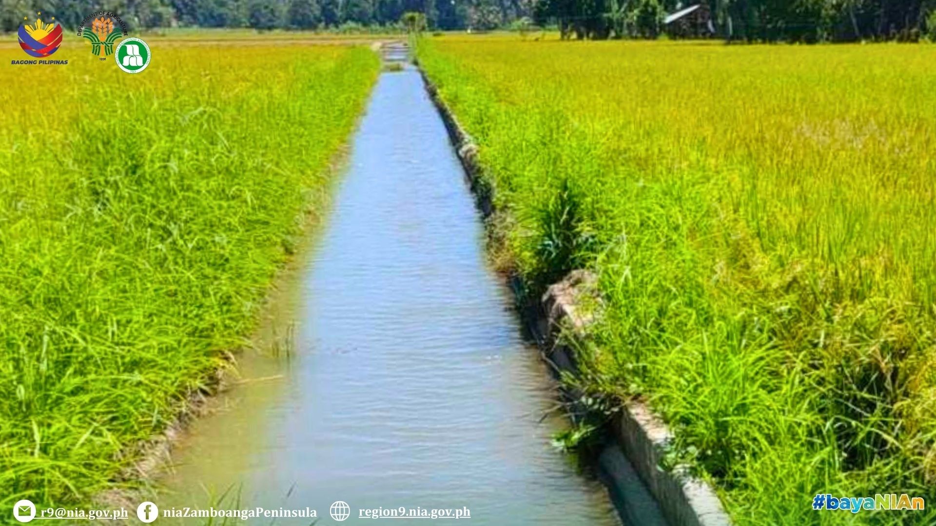 Phl gov't increases budgetary support to state-run firms