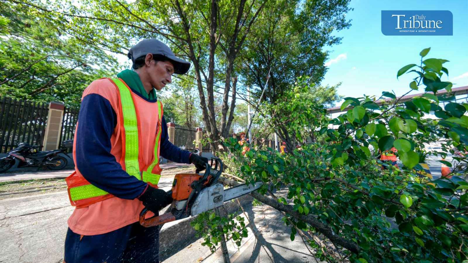 Pruning ops in QC