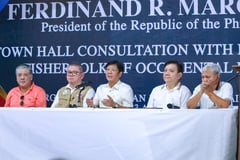 Gov’t fixing Occ. Mindoro power crisis