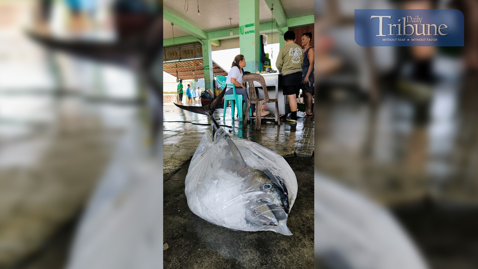 Fish trade at the Subic Town Fish Port