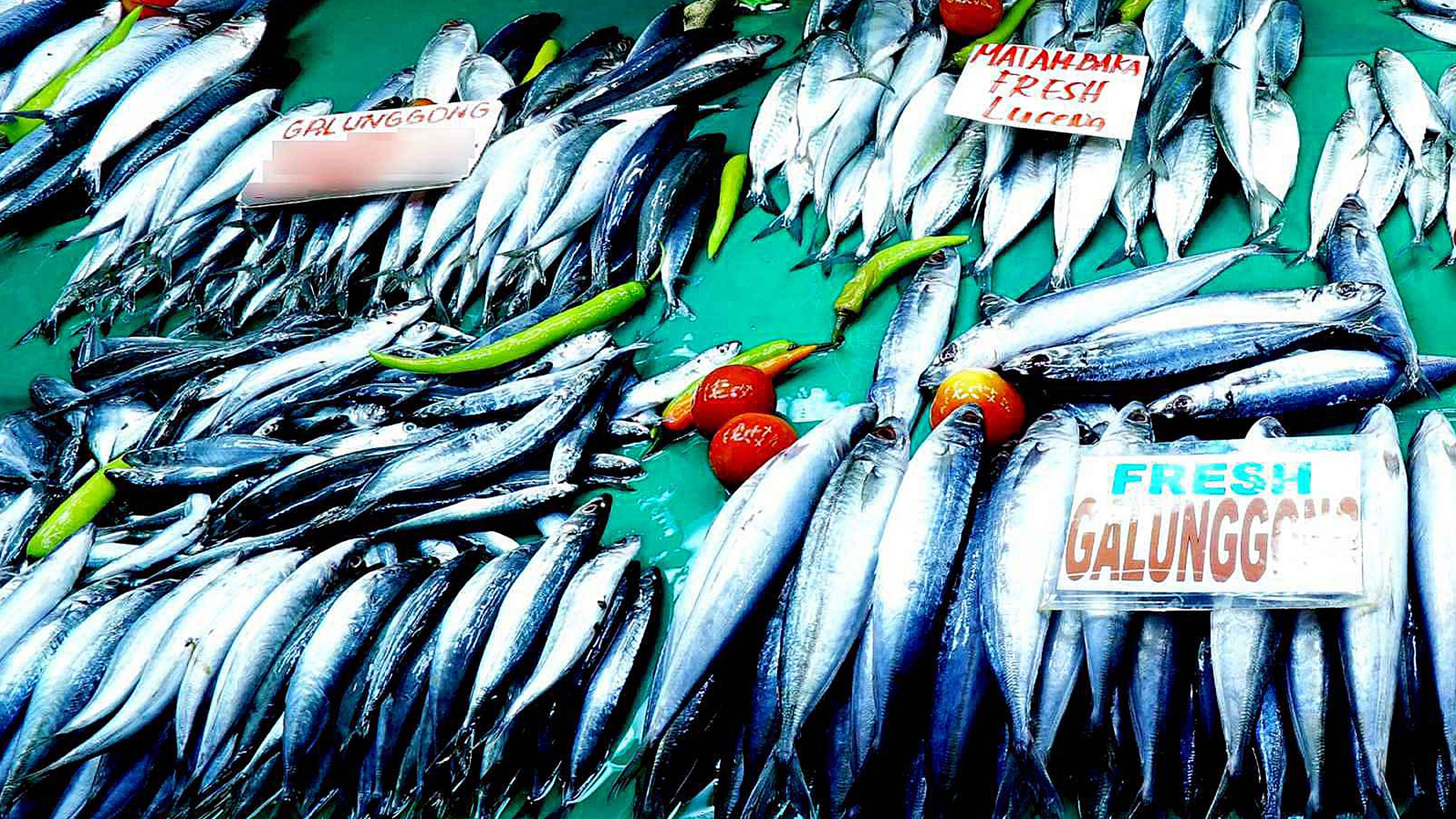 DA chief assures no shortage in mackerel canned goods amid import ban