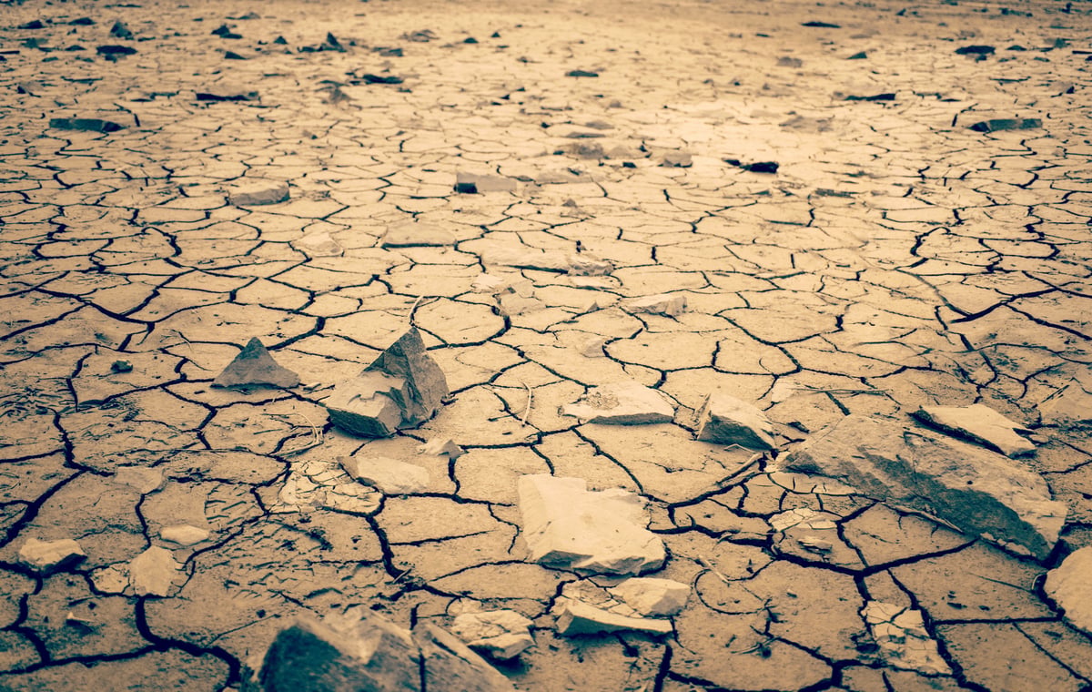Global warming will 'decimate' G20 economies without unity: UN climate head