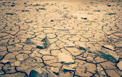 Global warming will 'decimate' G20 economies without unity: UN climate head