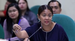 ‘Chinese mafia’ holding special Phl visa alarming, says Binay