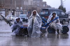 Afghan workers cover themselves with plastic sheets during the rainfall as they sit on their hand carts along a road in Herat on 12 March 2024.