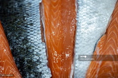 Salmon fishing off California's coast banned for second year in a row