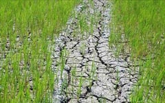 S’Cotabato town under state of calamity