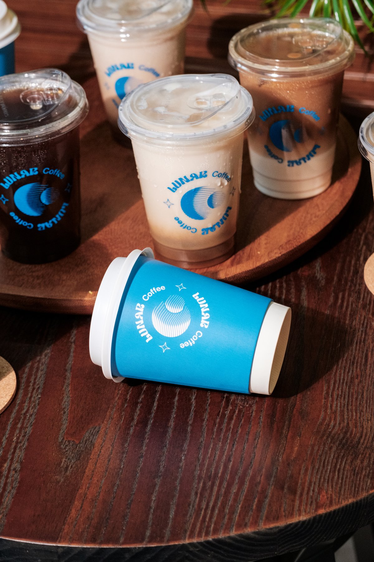 PHOTOGRAPHS COURTESY OF MOONLEAF TEA SHOP