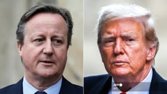 UK's Cameron to meet with Trump during US visit