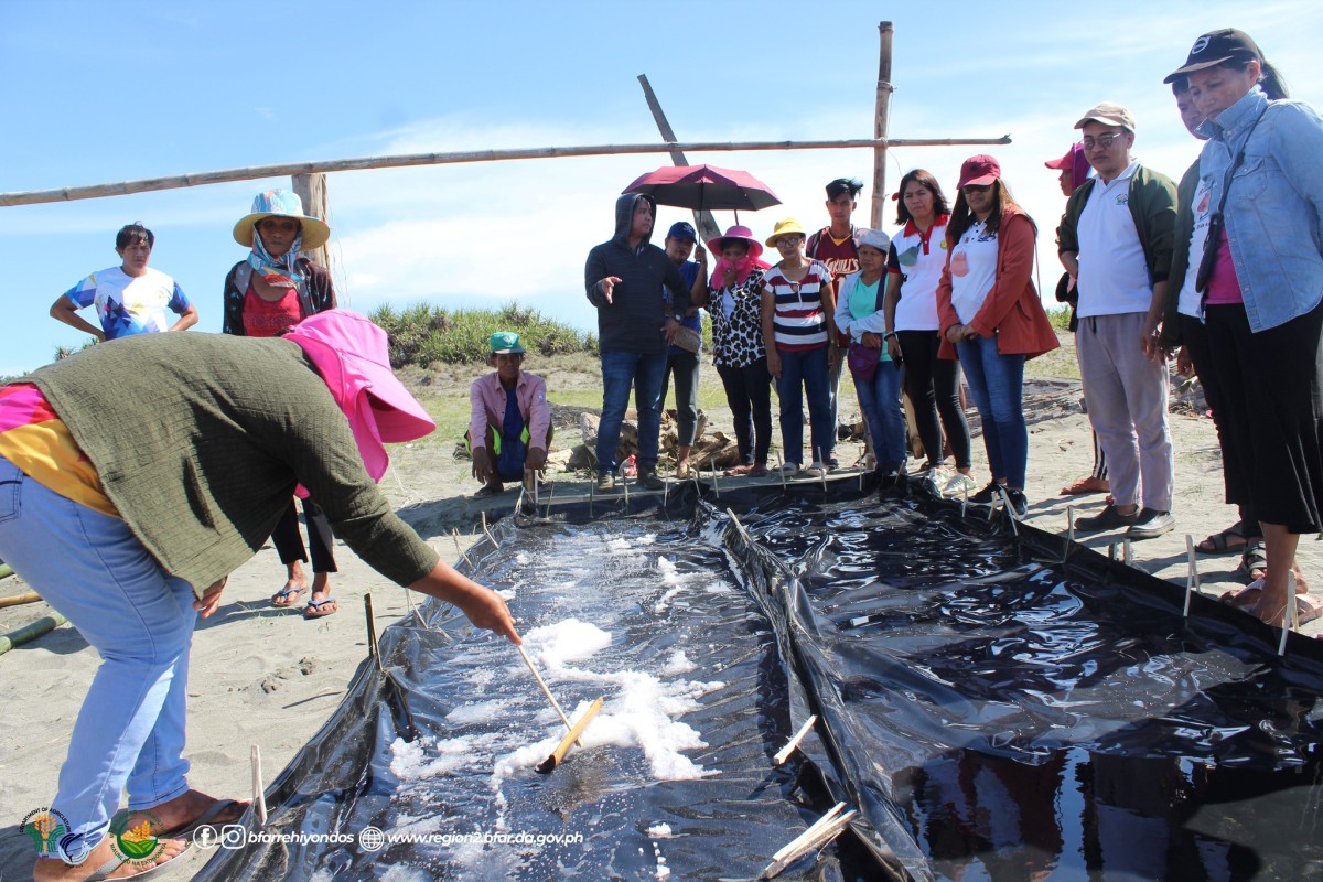 BFAR concludes Region 3 salt-making validation
