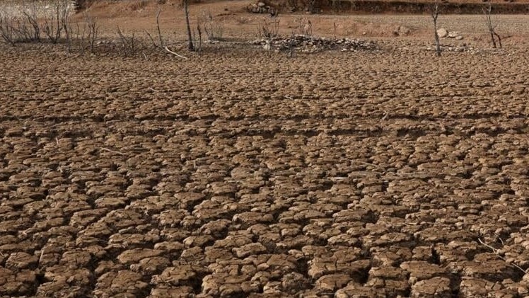 Cities under state of calamity due to El Niño rise to 127 