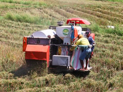 113 Nueva Ecija farmers complete SM's sustainable agri course