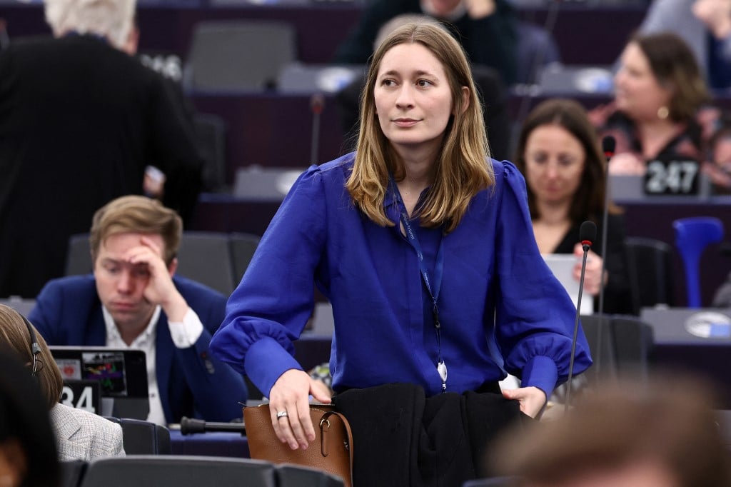 EU parliament's youngest lawmaker eyes re-election