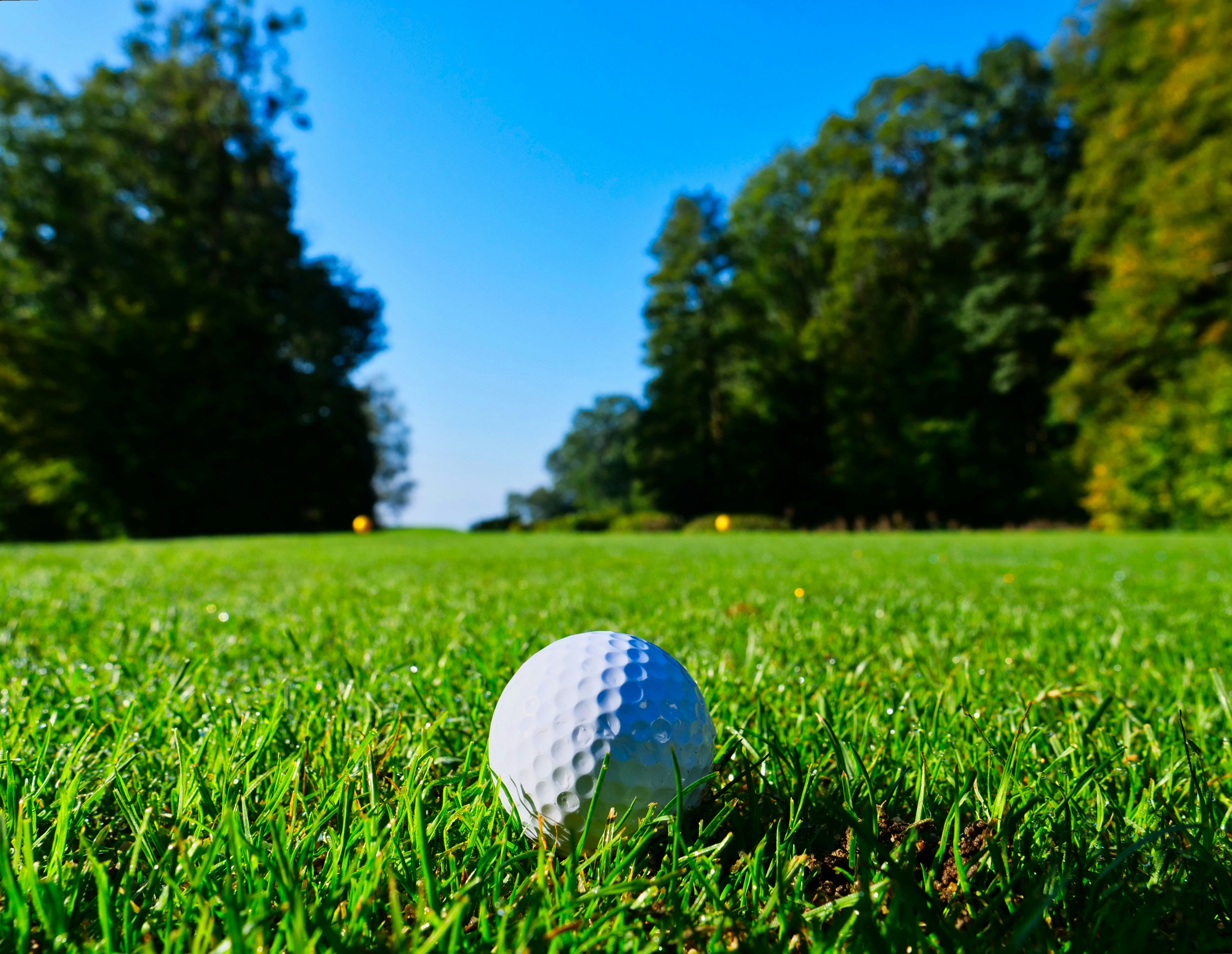 PAL Interclub honors Canlubang, Luisita