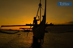 Advocacy group targets fish loss reduction