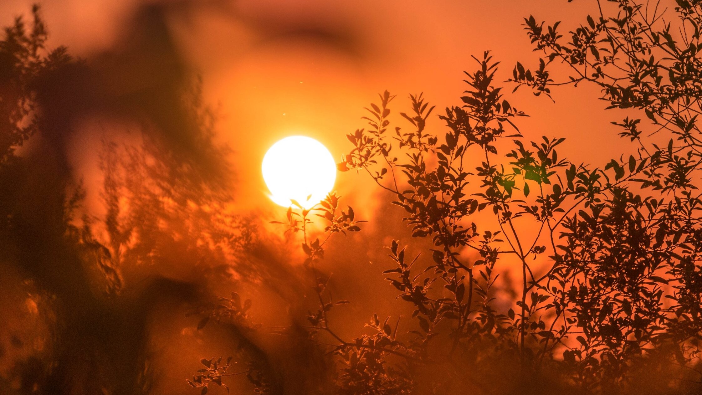 'Dangerous' heat index forecasted for 13 areas on Sunday