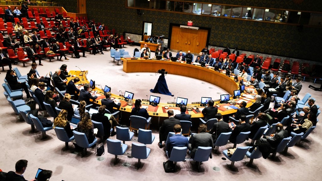 No Security Council 'consensus' on Palestinian UN membership