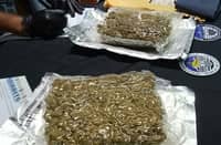 BOC-NAIA turns over P141.9-M suspected kush haul to PDEA
