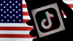 A closer look at TikTok as US Supreme Court weighs its fate
