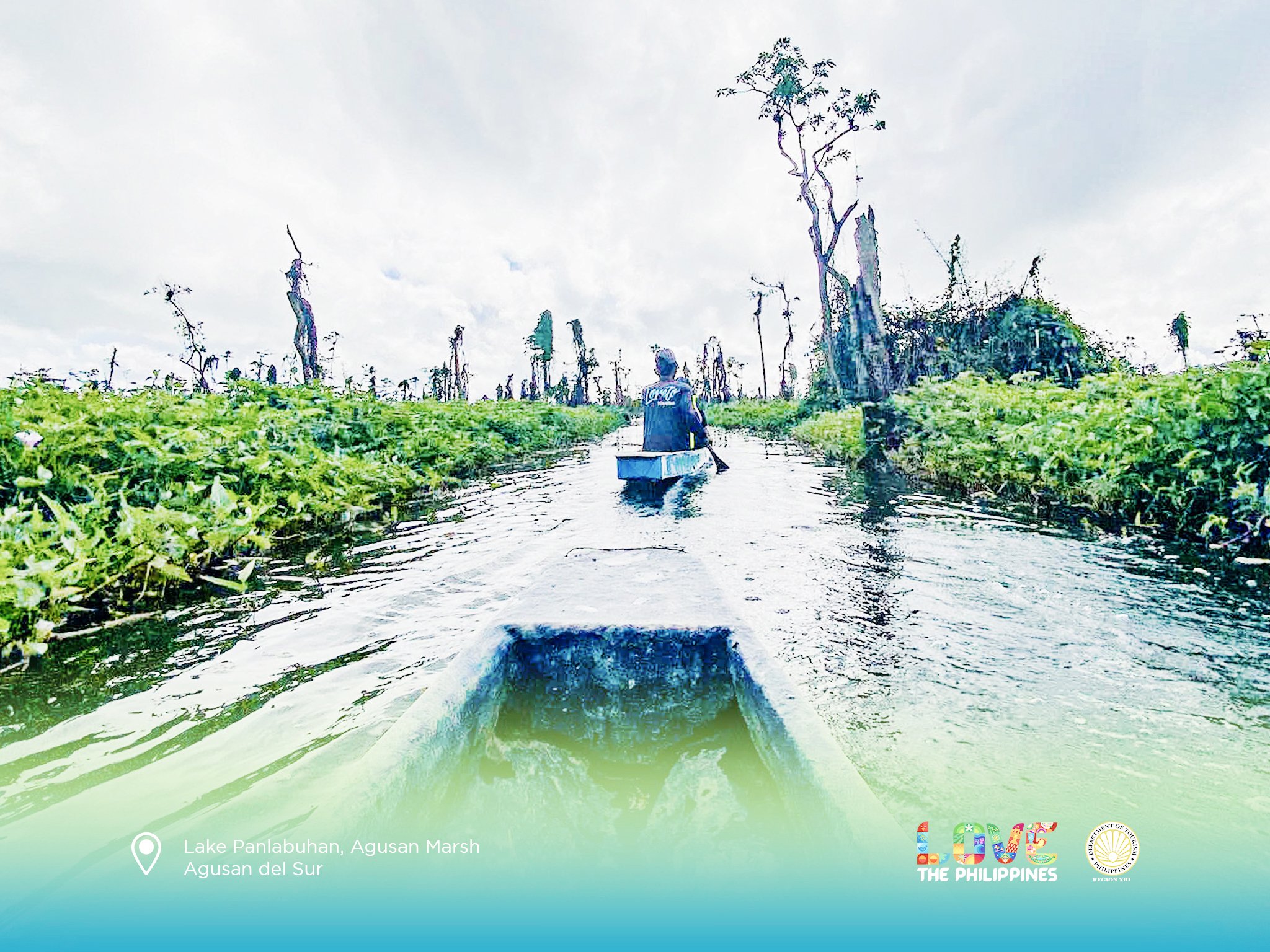Commission iterates importance
of wetlands in biodiversity survival