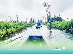 Commission iterates importance
of wetlands in biodiversity survival