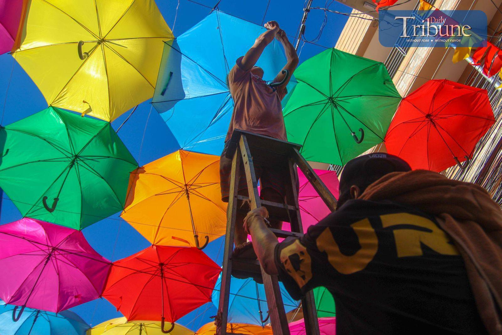 TRIBUNE-05-4-2024-UMBRELLA