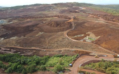 Task force to save historic Homonhon formed