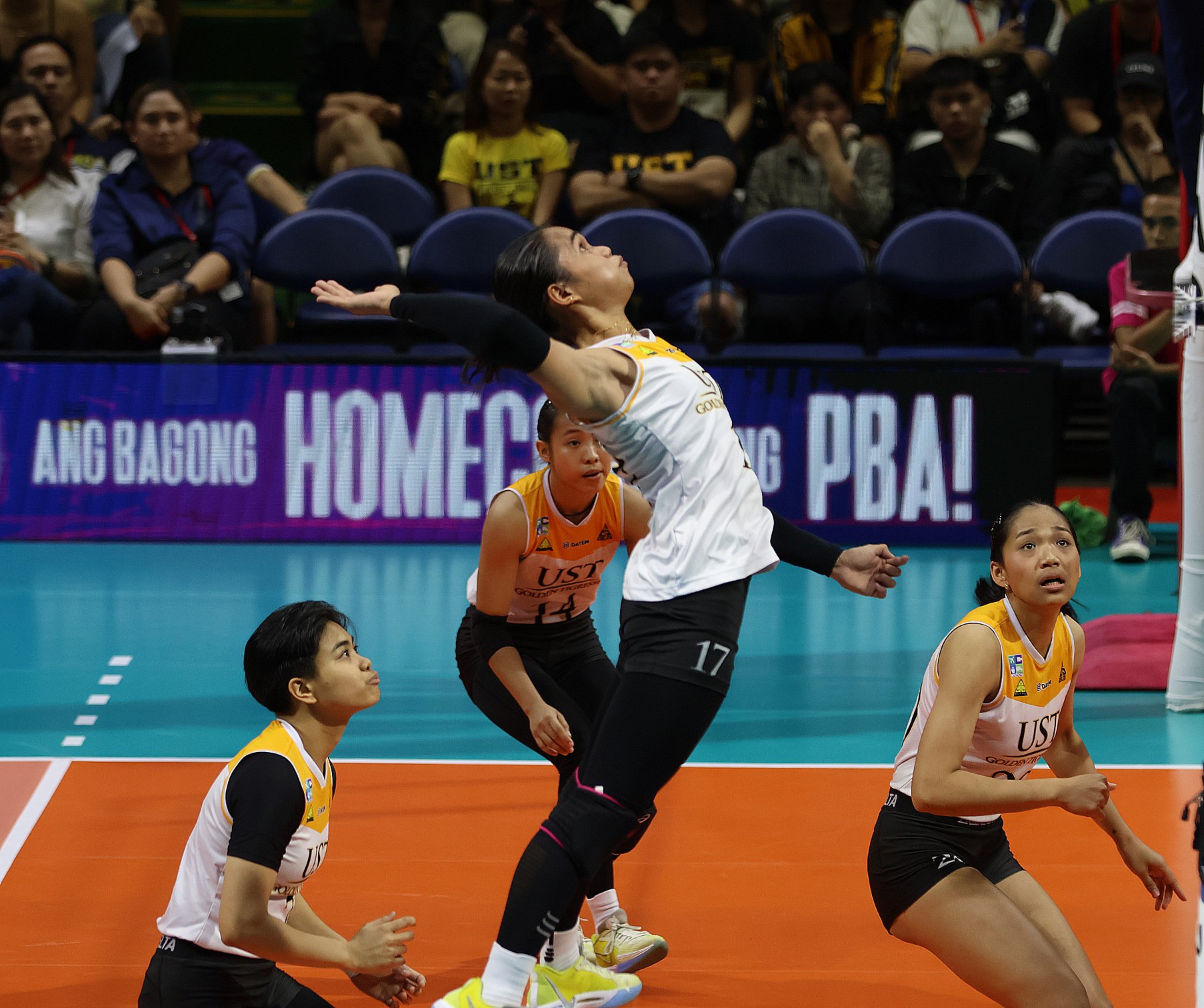 Kungfu dissects UST’s defeat