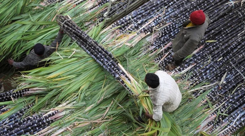 El Niño affecting sugar production