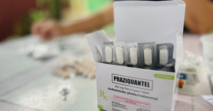 Tacloban steps up drive vs schistosomiasis
