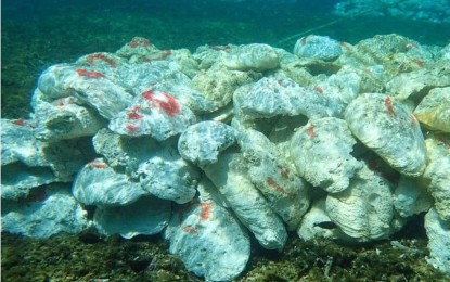 China dared to open ‘despoiled’
Scarborough Shoal to inspection