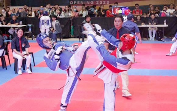 Smart/MVP taekwondo tilt set