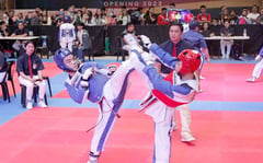 Smart/MVP taekwondo tilt set