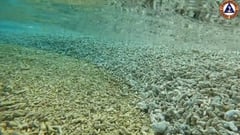 DoJ finalizing environmental
complaint vs China — Clavano